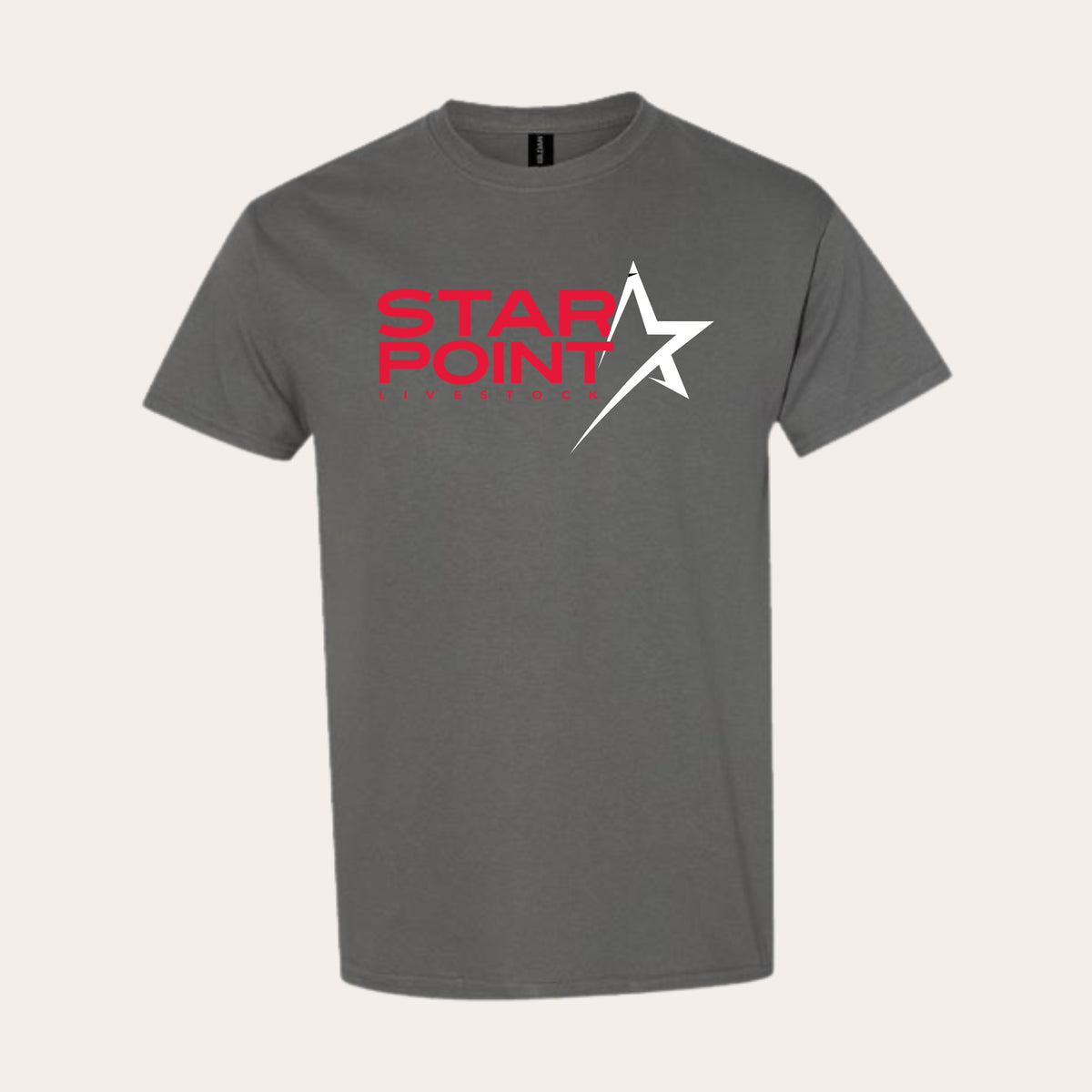 SP26 Printed Heavy Cotton Charcoal Tee