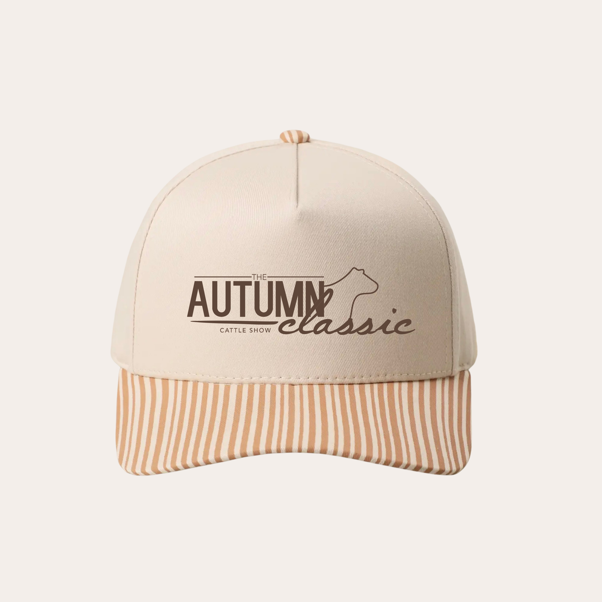 AC26 Embroidered Striped Trucker Hat