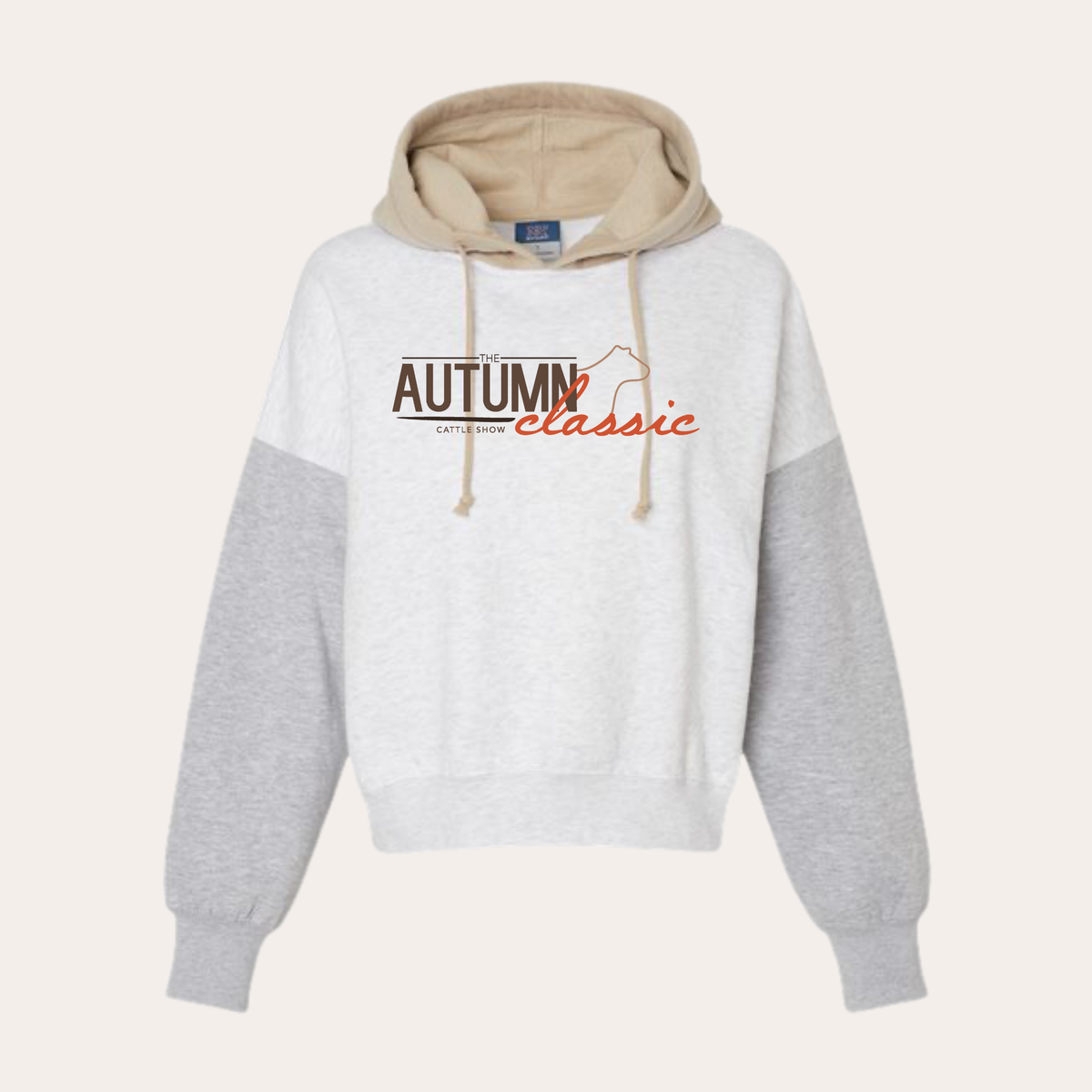 AC26 Printed MV Color Block Hoodie