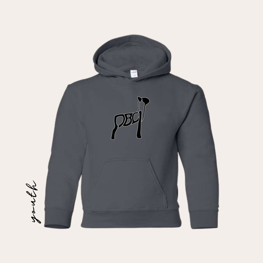 YOUTH PBCL Printed Heavy Blend Charcoal Hoodie