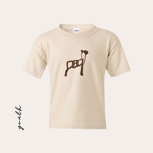 YOUTH PBCL Printed Sand Heavy Cotton Tee