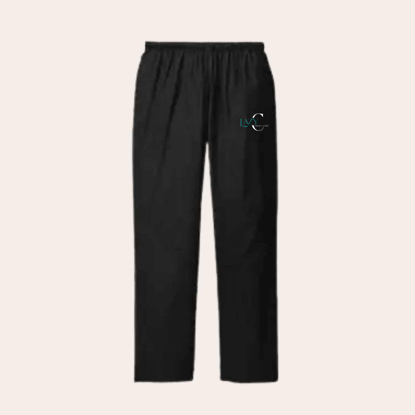 LCSL Embroidered Wash Pants