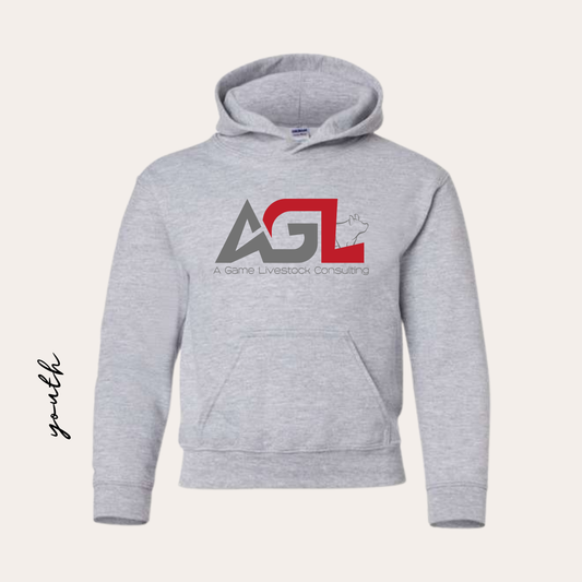YOUTH AGL Printed Sport Gray Hoodie